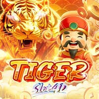 Hổ Slot4D screenshot